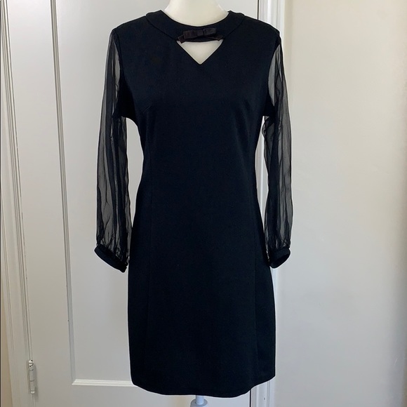 sheer little black dress